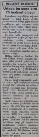  | ı MEMLEKET HABERLERİ I w Urfada bu sene bire 75 mahsul oluyor Toprağının zenginliğine rağmen iptidai ve tabii halde...