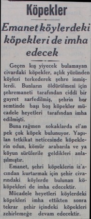  Köpekler Emanet köylerdeki köpekleri de imha edecek Geçen kış yiyecek bulamayan civardaki köpekler, açlık yüzünden köyleri