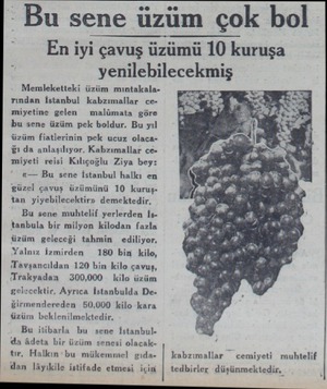  Bu sene üzüm çok bol En iyi çavuş üzümü 10 kuruşa yenilebilecekmiş Memleketteki üzüm mıntakalarından İstanbul kabzımallar...