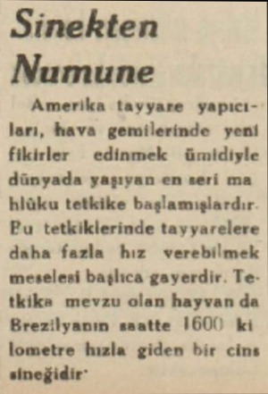  Sinekten Numune Amerika tayyare yapıcıları, hava gemilerinde yeni fikirler edinmek ümldiyle dünyada yaşıyan en seri ma hlüku