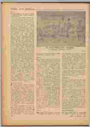    YURTTA OLUP BİTENLER Sanaryo » imdi eğ'enceli bir seraryo haline gelen Köprüköy hâdisesi şöyle ce- reyan etm: 5 Ekim 1957