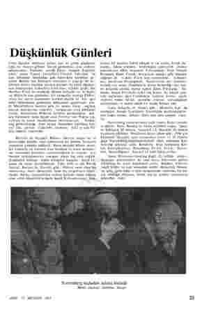  Düşkünlük Günleri Fritz Sauckel birbirine yalan, dar ve çekik gözleriyle tıpkı bir domuz gibiydi. Sinirli görünüyor, öne...