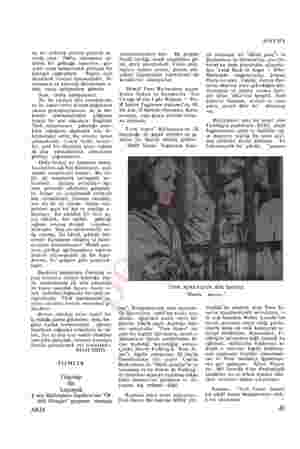  da bir noktaya dikkati çekmek ye- rinde olur: 1960'ta sinemamız ay- dınlık bir geleceğe bakarken, ger- çekte sonu kapkaranlık