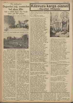    idi ilini İDE idi Sahife 10 Tire mektupları Dağından yağ, ovasından İKılavuzu karga olanın! - Hayattan Hikâyeler - bal akan