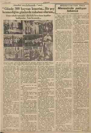       3 Nisan 1935 AKŞAM Istanbul -mezbahasında ! saat.. “Günde 300 hayvan keserim... Bir şey kesmediğim günlerde rahatsız...