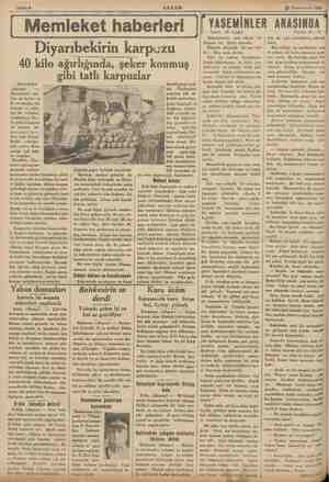  Sahife 6 AKŞAM 23 Teşrinievvel 1935 Memleket haberleri | Diyarıbekirin karpuzu 40 kilo ağırlığında, şeker konmuş gibi tatlı A