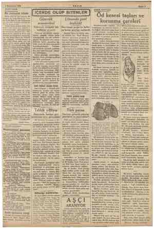  3 Künunusani 1838 — AKŞAM DÜŞÜNCELER i Bir yolculuk kitabı İ IÇERDE OLUP BITENLER | Şük; e bir kitap çıkarmış. Bir yol ek...