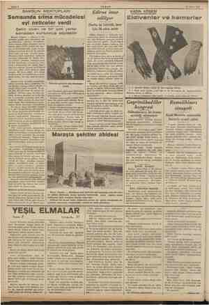    Sahife 6 - AKŞAM 24 Mayıs 1936 SAMSUN er e Samsunda sıtma mücadelesi| eyi neticeler verdi Şehir civarı ve bir çok yerler