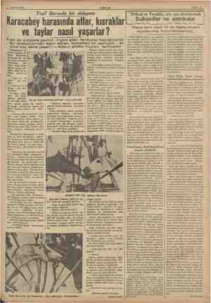     9 Ağustos 1937 ME KŞAM Sahife 7. Yeşil Bursada bir dolaşma Karacabey harasında atlar, kısraklar ve taylar nasıl yaşarlar?