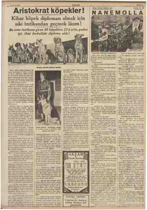   23 Mayıs 1938 Oman a Aristokrat köpekler! Kibar köpek diploması almak için sıkı imtihandan geçmek lâzım! Bu sene imtihana