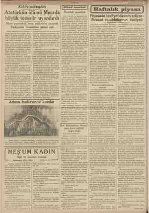    Kahire MiSEİSDİR büyük teessür uyandırdı Mısır gazeteleri uzun makaleler yazarak Türkiyenin teessürüne iştirak etti Kahire