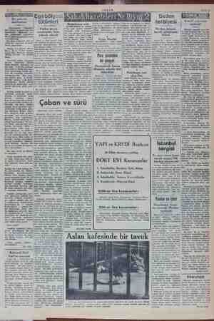  a ğin, 31 Ekim 1949 NE Bir anketin dedikodusu Arkadaşı Sadeddin Gökçeğiirin ın gazetemiz için az «Muharrir ne- n yetişmiyor?