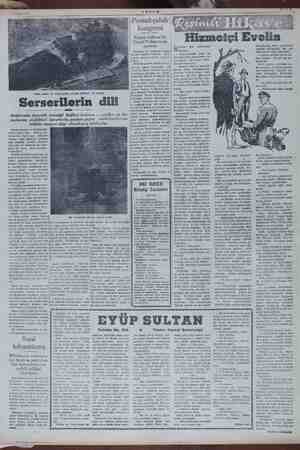      Uyku çeken ve sözde gazete satıcısı görünen bir Serserilerin Aralarında kuvvetli tesanüd bağları a varlarına çizdikleri