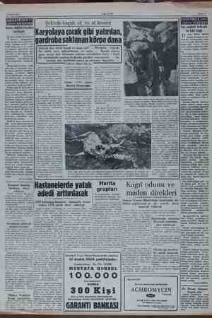    3 Ocak 1954 Horoz döğüşt eti ürücüler cemiy eni senenin ilk meraklı ri bir V haberi e Tüzüklerini de tasdik et-...