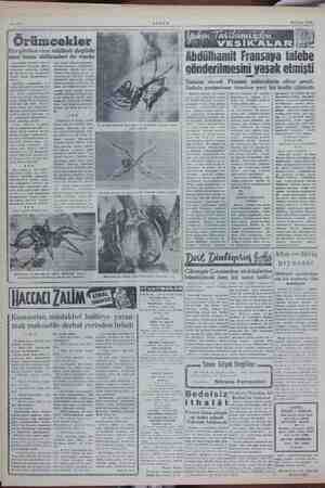    Se? 23 Nisan 1955 ergörülen cins bu böceklerin k tanınmaları Şi hesiz örümcekler - yı- lanlar gibi zehiri kuvvetli ya-...