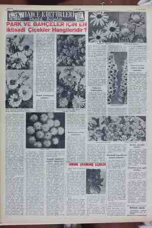  Sahife 6 Üste: Helenium Pumilum - Beauty, altta: Meliopsis Scabra e bahçelerde süs ne- imal aki ve ye: ik çiçeklerin miktarı