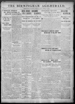 Birmingham Age Herald Newspaper 1 Haziran 1902 kapağı