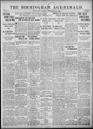 Birmingham Age Herald Newspaper 13 Haziran 1902 kapağı