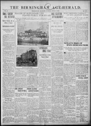 Birmingham Age Herald Newspaper 17 Haziran 1902 kapağı