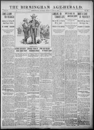 Birmingham Age Herald Newspaper 22 Haziran 1902 kapağı