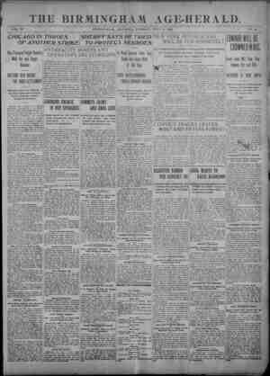 Birmingham Age Herald Newspaper 8 Temmuz 1902 kapağı