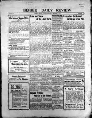 Bisbee Daily Review Newspaper December 6, 1901 kapağı