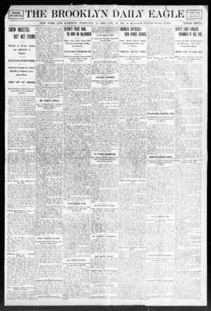 Brooklyn Daily Eagle Newspaper February 14, 1908 kapağı
