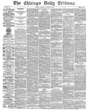 Chicago Daily Tribune Newspaper January 21, 1873 kapağı