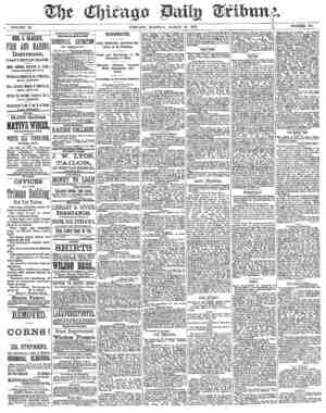 Chicago Daily Tribune Newspaper March 18, 1873 kapağı