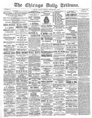Chicago Daily Tribune Newspaper March 23, 1873 kapağı