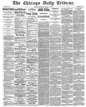Chicago Daily Tribune Newspaper March 27, 1873 kapağı