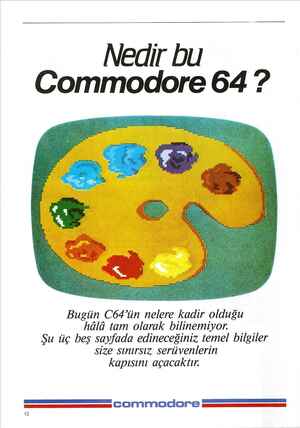    Nedir bu Commodore 64 ? Bugün C64'ün nelere kadir olduğu hâlâ tam olarak bilinemiyor. Şu üç beş sayfada edineceğiniz temel