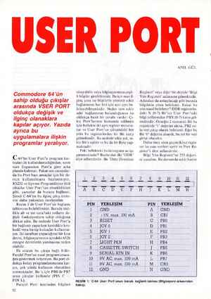 USER PORT Commodore 64'ün sahip olduğu çıkışlar arasında VSER PORT oldukça değişik ve ilginç olanaklara kapılar açıyor....