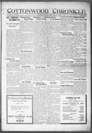 Cottonwood Chronicle Newspaper January 24, 1919 kapağı