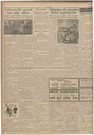  CmiHTJRİYET 17 Eylul 1935 Çukurovada pamuk cinsi ıslah ediliyor Hükumet, ulusal dokuma endüstrimize ilk madde olan pamuğa çok