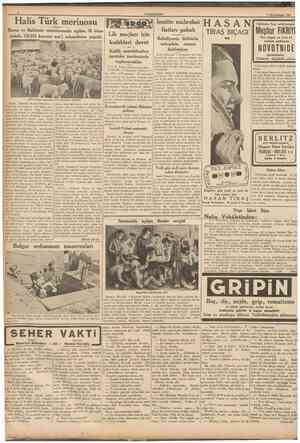  CUMHUBİYET 7 Blrlnclteşrîn 1937 Halis Türk merinosu Bursa ve Balıkesir mıntakasında açılan 38 istas yonda 135,912 koyuna...
