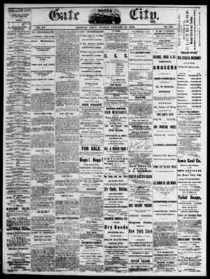 The Daily Gate City Newspaper January 17, 1869 kapağı