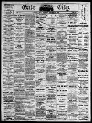 The Daily Gate City Newspaper January 26, 1869 kapağı