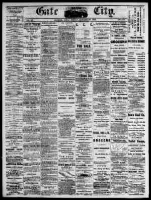 The Daily Gate City Newspaper January 29, 1869 kapağı