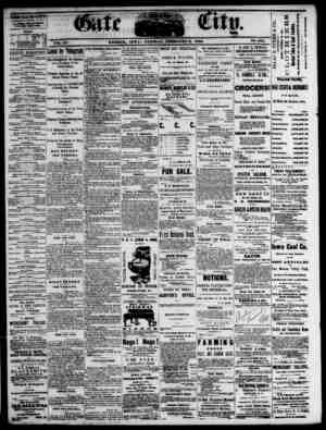 The Daily Gate City Newspaper February 2, 1869 kapağı