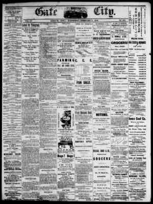 The Daily Gate City Newspaper February 3, 1869 kapağı