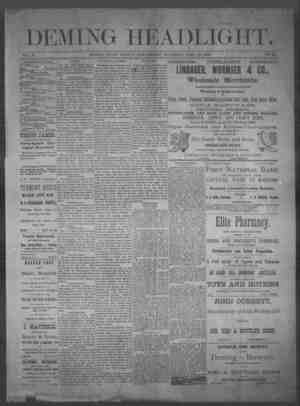 Deming Headlight Newspaper 28 Haziran 1890 kapağı