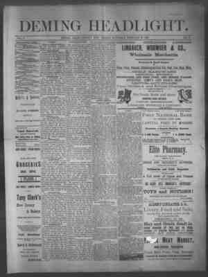 Deming Headlight Newspaper 21 Şubat 1891 kapağı