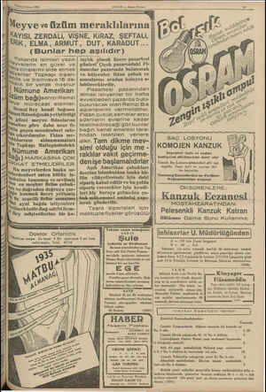    2 Birinci Kânun 1934 ER M Yukarıda isimleri yazılı ha yvelerin en güzel ve İliş, S cinslerini elde etmek tyenler Topkapı