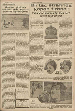  11 MAYIS — 1935 - Şehicde gezintiler” HABER — Akşam Postamı |Bir taç etrafında kopan Tırtına ! Viyanada bulunan bir taca dört