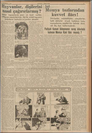 30 MAYIS — 1939 HABER — Akşam Postan ayvanlar, dişilerini nasıl çağırırlarmış ? İptidai hayvanlarda sesin en basit vazifesi,