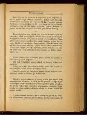    Edebiyat ve Sanat 91 Felek bir denize, yıldızlar da başlarına güneş ışığından al- tn taç giyen dalga sırtlarına benziyor.