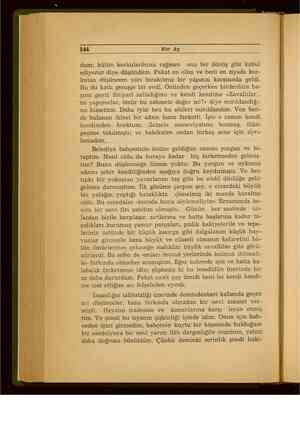    144 Her Ay dum; bütün korkularımıza rağmen onu bir dönüş gibi kabul ediyoruz diye düşündüm. Fakat en elim ve beni en ziyade