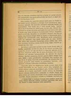    84 Her Ay eder (*J. Kavkaâ (Cochlea) denilen iç kulak bir şeytan minare- sine benzemekte olup geniş nihayetinde biri beyzi