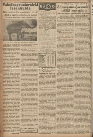    YLÜL 1936. i İvalişı hayvanlar sirki | © Dün verilen ilk temsillerde bir fil © İstanbul gazetelerinin tadına bayıldı b Fil